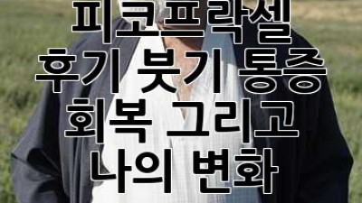 피코프락셀 후기: 붓기, 통증, 회복, 그리고 나의 변화